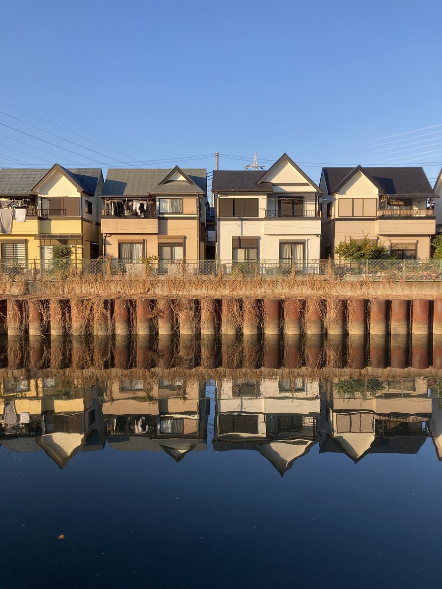 ヤックル (@yakkuru_yakkuru) / Posts / X