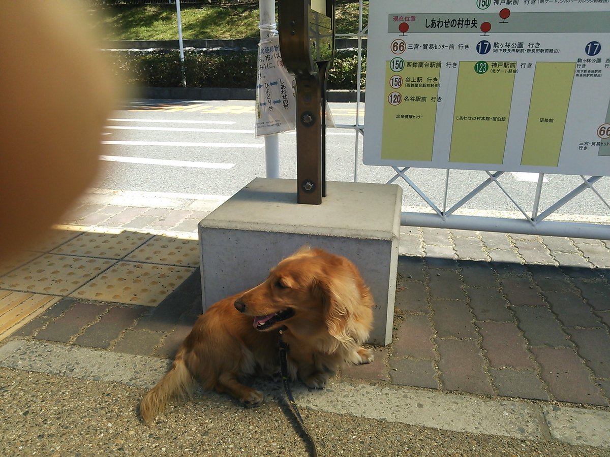 ちのりんパパ ふもとっぱらで冬ソロキャン【ZX-14R】 - YouTube