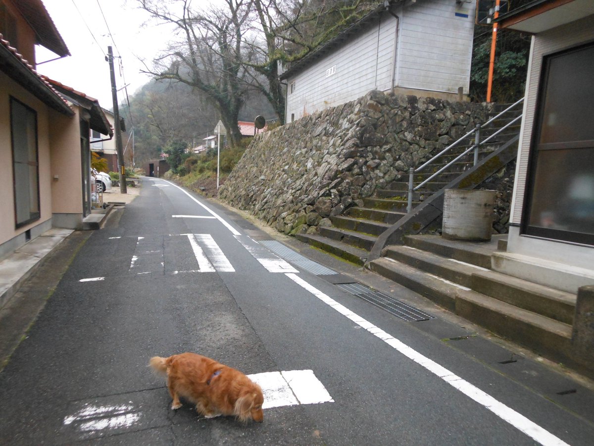 りんパパ2022NUEVO (@2022NUEVO1) / Posts / X りんパパ2022NUEVO (@2022NUEVO1) / Posts / X