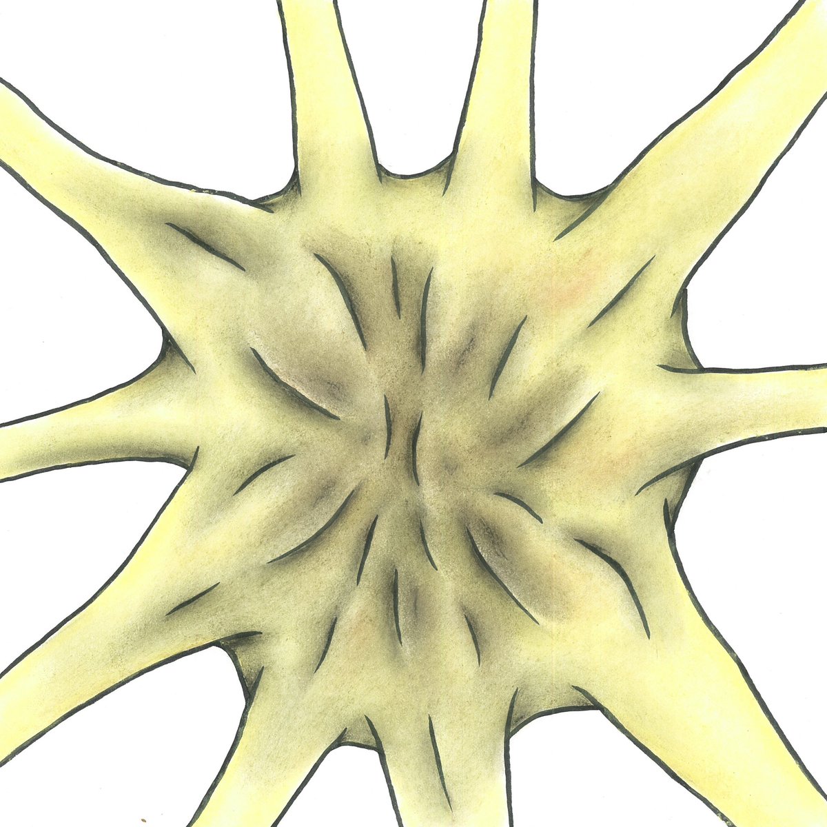 kochonigaoe's tweet image. Colabo代表の仁藤夢乃さん