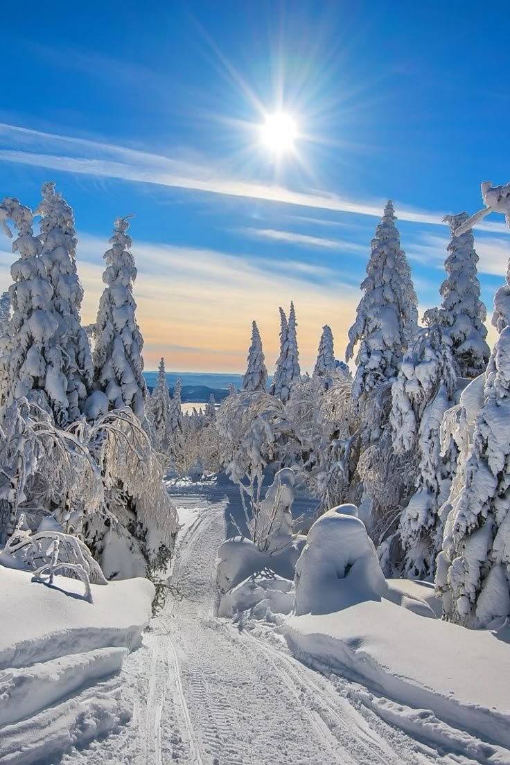 World Click (@worldclick56) on Twitter photo 