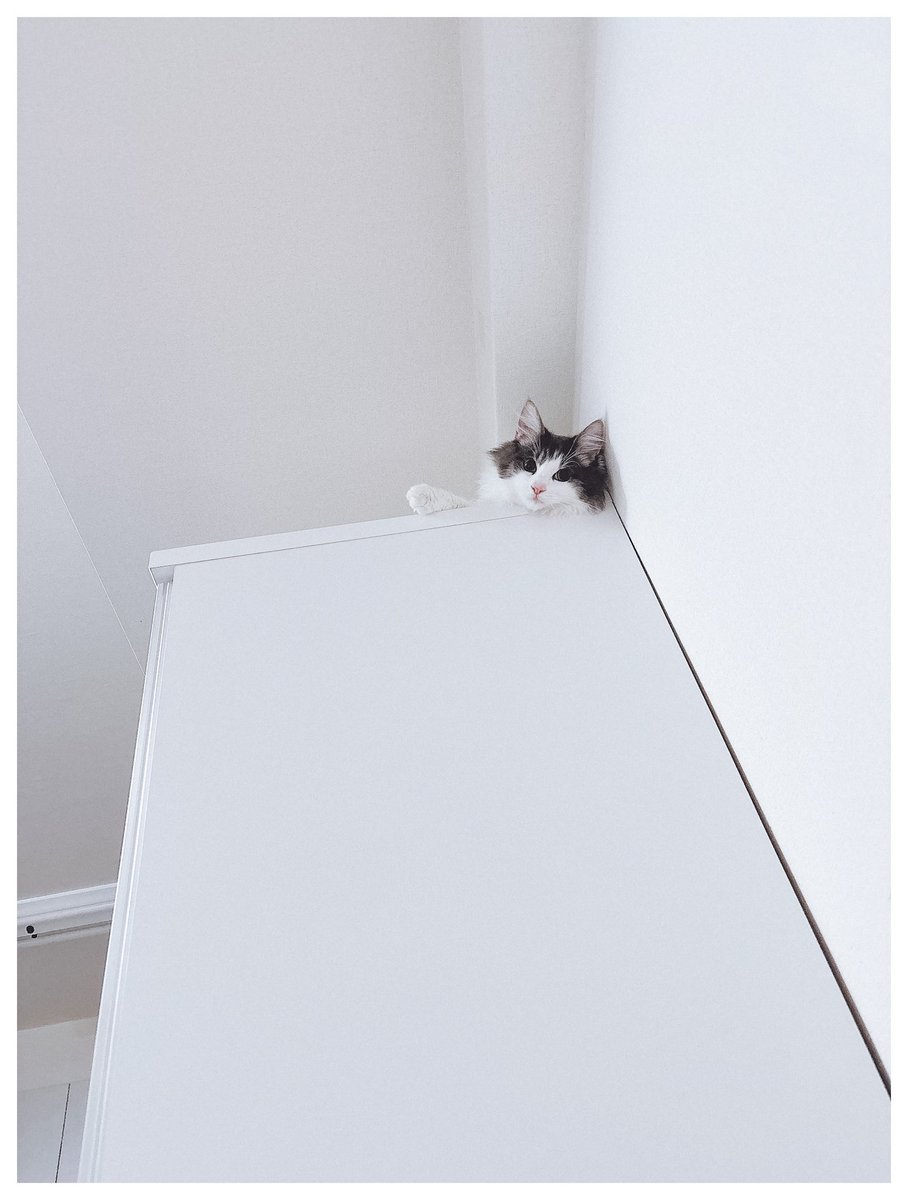 仕事をしているか日々監視されている