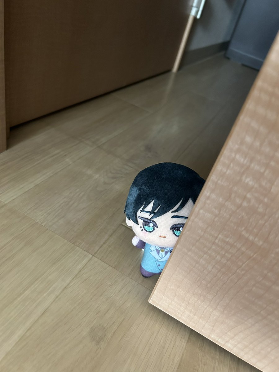 我が家の凛ぬいちゃんとお揃い✨