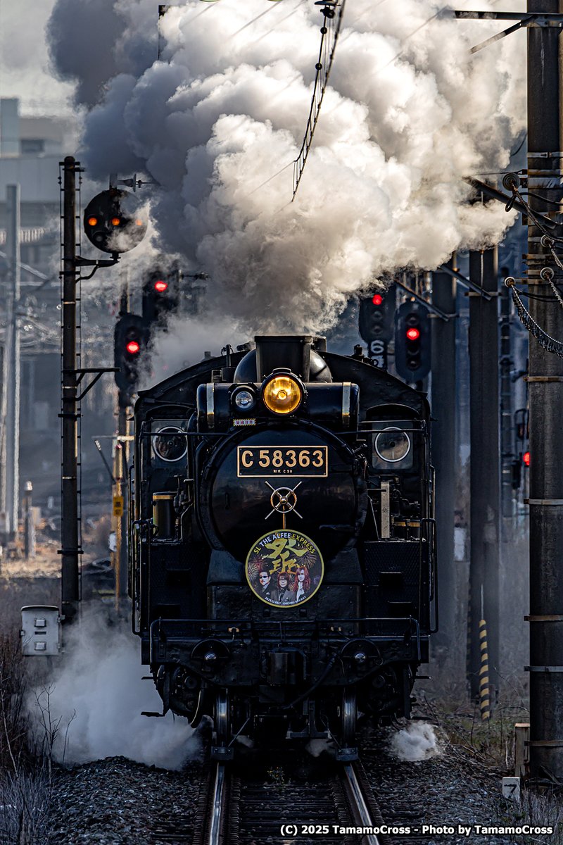 Tamamo Cross (@tamamo) / Posts / X