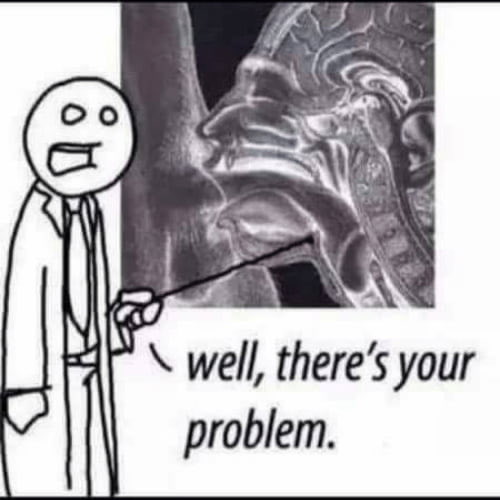 Triple__Whopper's tweet image. 