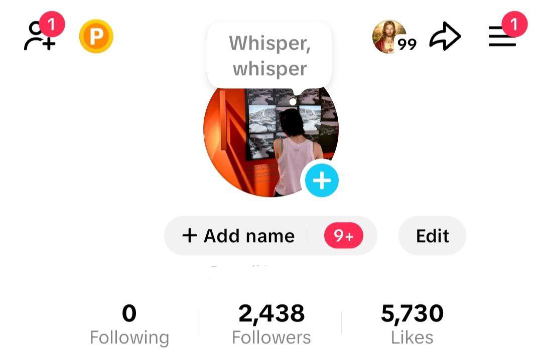 selling twt x ig tiktok tweet media