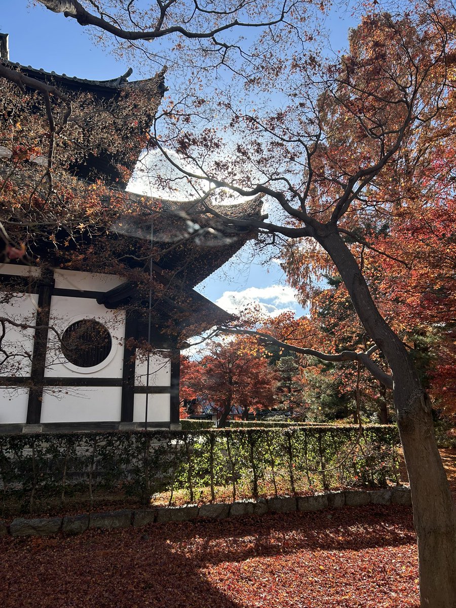 singoose1's tweet photo. おじいちゃん、おばあちゃんと #京都 に行ってきま〜す。久しぶりの #N700A ！#東福寺 に行ったらまだ綺麗な紅葉🍁があったよ〜。#京都旅行 https://t.co/q85ioATCV0