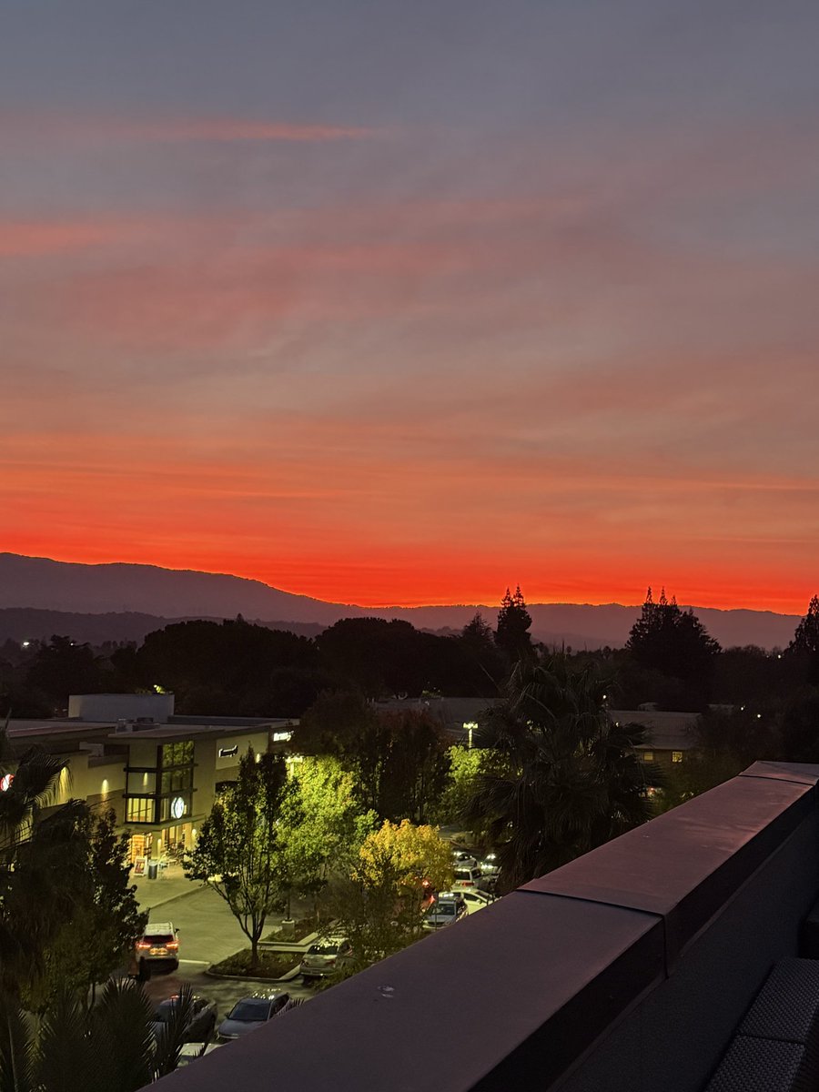 carranza_ofcc's tweet photo. @culturaliteral1 San José , Ca .. https://t.co/hzq09jtI04