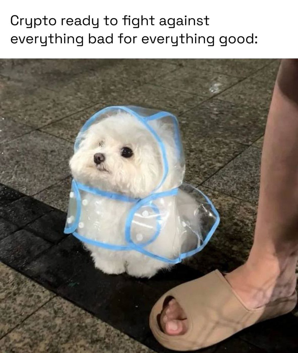 they're the same picture #ECC2 🧉