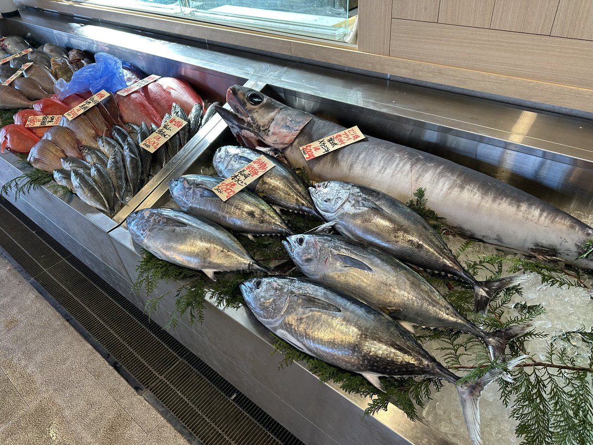 うお一番 tweet media