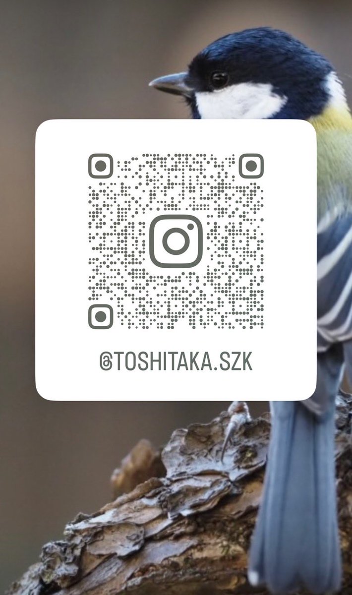 インスタはじめました❗️

instagram.com/toshitaka.szk?…

いい写真が撮れたりしたら、アップしようと思います！アルバムづくりの感覚でゆるめに投稿していきます🐥📸