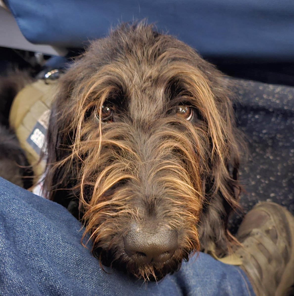 Eric Ryan Anderson tweet media