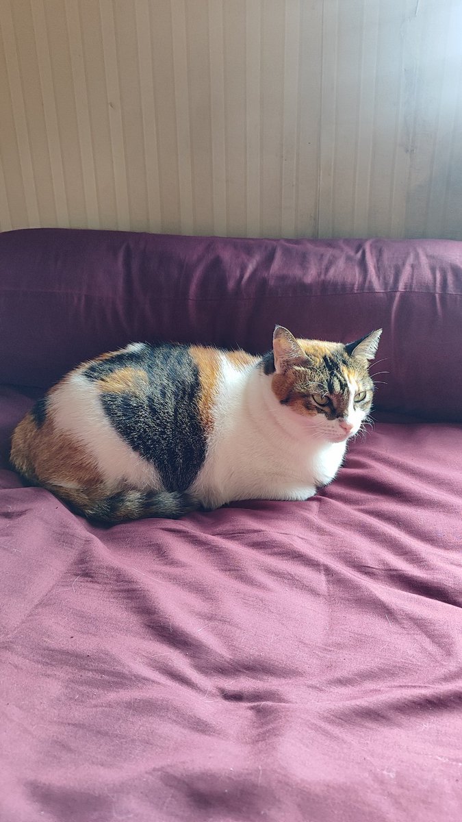 Rotinya kak, masih anget baru keluar dari oven