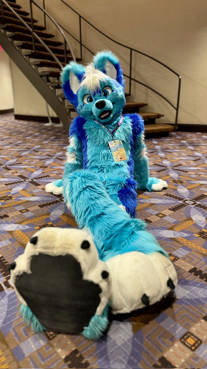 Just bloo dog things :3 #MFF25 
📷: <a href="/CinderCollie/">Cinder Collie</a>