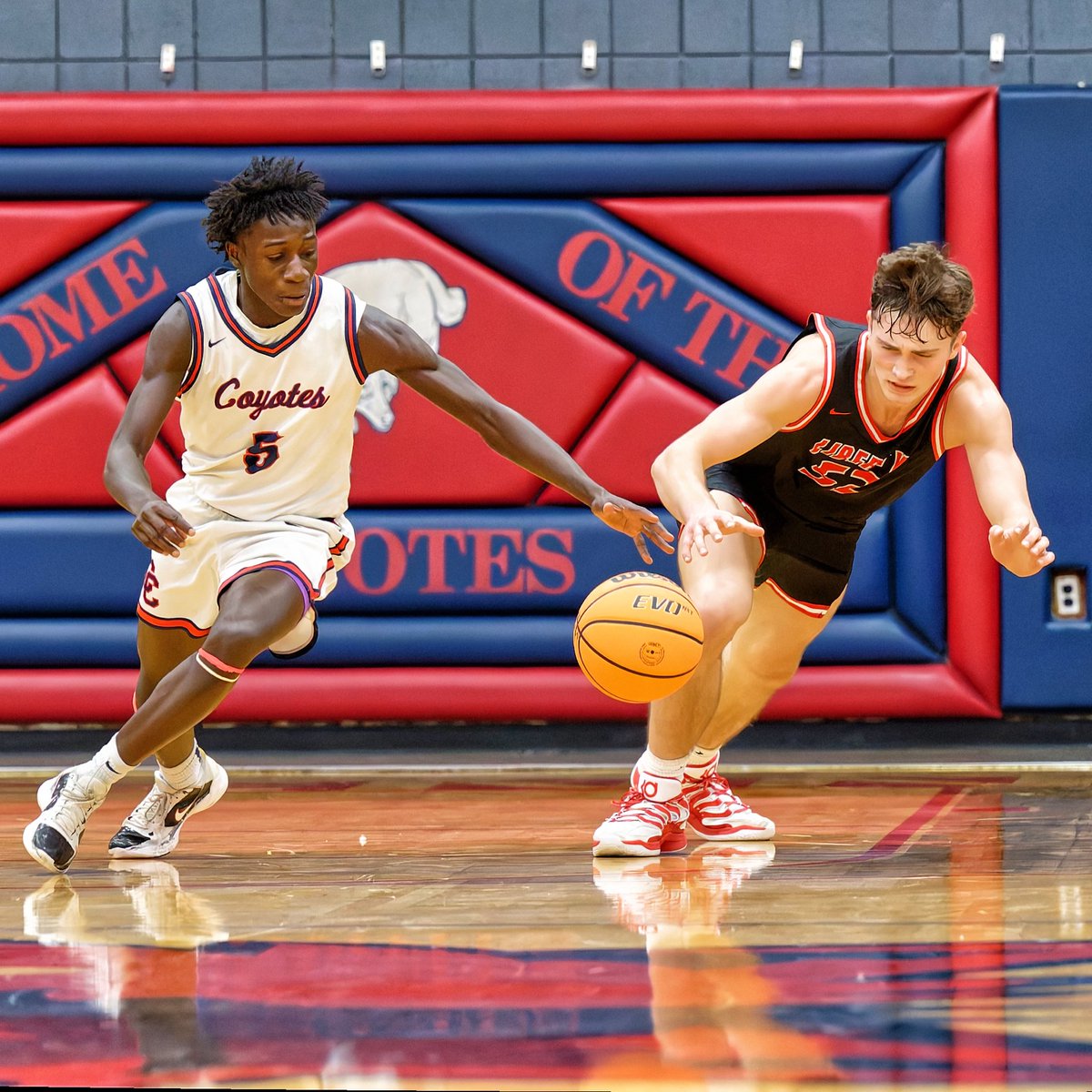 Picture Lady Photography LLC tweet media