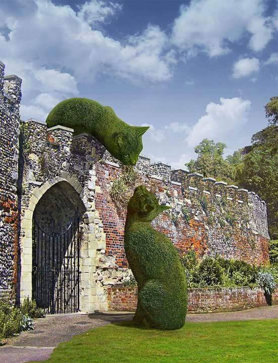 Sunday special 🌺
#A_P_G
<a href="/_1gul/">╰• ǟǟʀǟ ʏօʊֆǟʄʐǟɨ •╯</a>
<a href="/bnte_/">بـٌـٌٌـٌٌٌـٌٌـٌنـِِـِـتـٌـٌٌـ۔</a>
<a href="/1PTI_/">Team #A_P_G Promotion</a>
<a href="/PTI5_/">TSC</a>
<a href="/1iA_4/">Arshad_Qureshi</a>
<a href="/5nqvi/">Syed Imtiaz Naqvi¹¹⁰❄️</a>
<a href="/A_2SF/">S Rahe</a>
<a href="/Ejz55/">👉𝐄ᴊᴀᴢ 𝐇ᴀsʜᴍi👈</a>
<a href="/1Aara_/">○° آراءخان°○</a>
<a href="/Ghz97/">❃ 𝐒.𝐆𝐮𝐥 ❃</a>
<a href="/RS_Pti/">◣𝑹𝒂𝒔𝒉𝒊𝒅 𝑺𝒂𝒕𝒕𝒊◥</a>
<a href="/IK92K/">𝔸𝕝𝕚</a>
<a href="/jitin84/">Jitin Sharma</a>
<a href="/1___A_1/">آلَälṩúĶúٍñكَوُنـــــــٌ ♡🇸🇦</a>
<a href="/1adann/">Adnan Choudhary</a>
<a href="/kom_66/">🔴𝐊ᴏᴍᴀʟ🔴</a>
<a href="/drsurri1/">Dr Suri Shahab🕊️</a>
<a href="/Qs3488/">Qamar Shahzad🦅</a>
<a href="/Lila__777/">❣__لیلی__❣</a>
<a href="/Ltf2_/">Lutfi khan</a>
<a href="/4gul_/">ᗩ𝖆ṛ𝖆°Қ𝚑𝖆𝖓</a>
<a href="/0gul_/">✧ Gυʅ Aαɾα ✧</a>
<a href="/NM1k_/">༺ 💎𒆜𝑵𝑬𝑬𝑵𝑨𝑯𒆜💎 ༻</a>
<a href="/Mir44_/">Sᴍoͥkeͣrͫ ོ 🦅</a>
<a href="/_11hnm/">H ⁠~</a>
<a href="/mdjdy6/">احمد جدي</a>
<a href="/TSC143_/">آفیسرز</a>
<a href="/Munsif2/">𝐌𝐮𝐧𝐬𝐢𝐟 ᵃᵇᵘ ˢᵃˡᵃᵐ</a>
<a href="/ISI0013/">S_Ahmad</a>
<a href="/FBI_1777/">𝒎𝒖𝒉𝒂𝒎𝒎𝒂𝒅 𝒉𝒂𝒓𝒐𝒐𝒏🙏🌹💕🫰❤️</a>
<a href="/talhawkk/">Talha Wahab</a>
<a href="/Znt33/">🦋ZêēñäT</a>