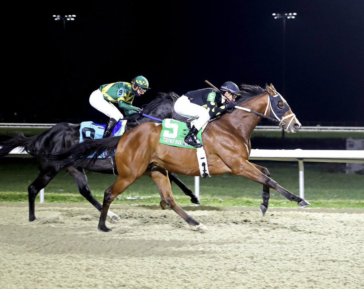 Kevin Kerstein tweet media