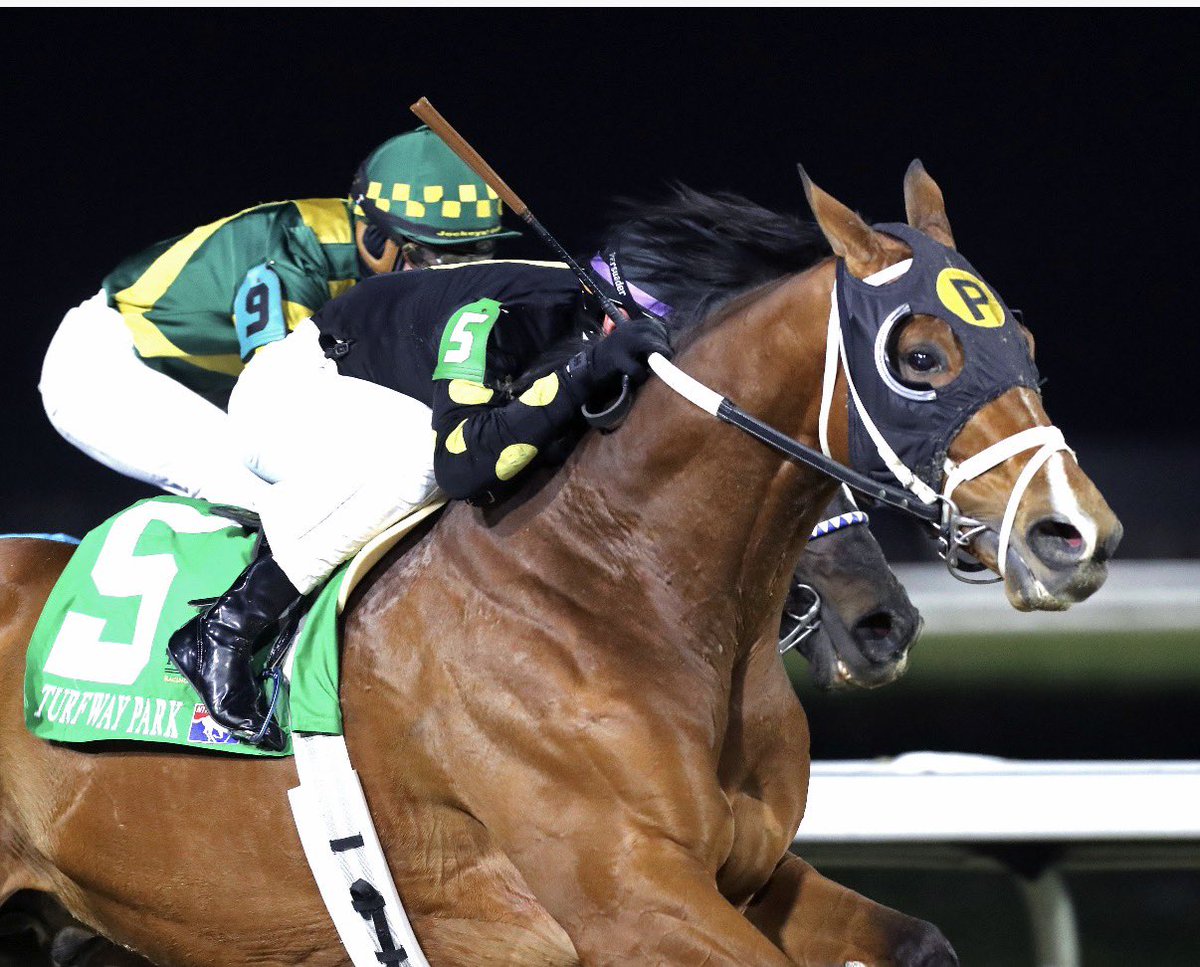 Kevin Kerstein tweet media