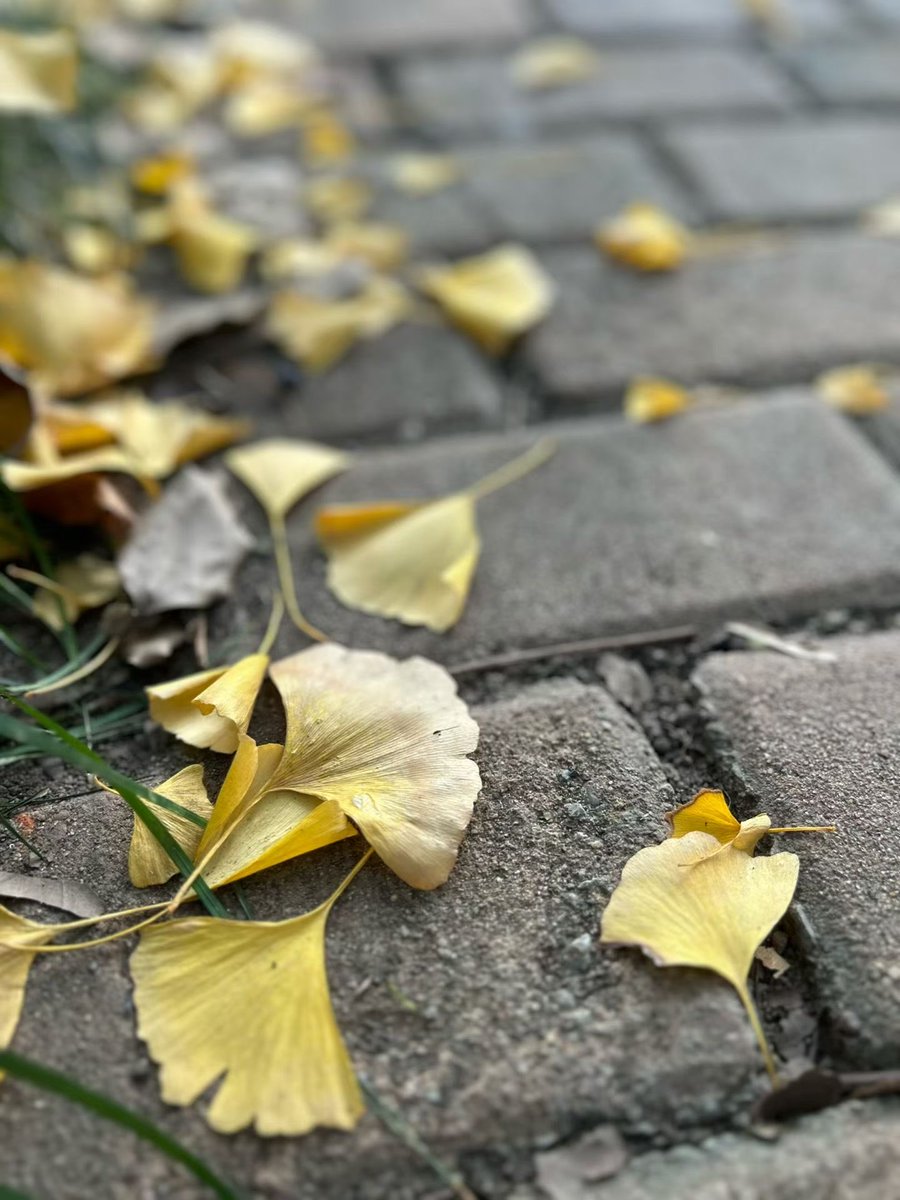 Larry@purewallet tweet media