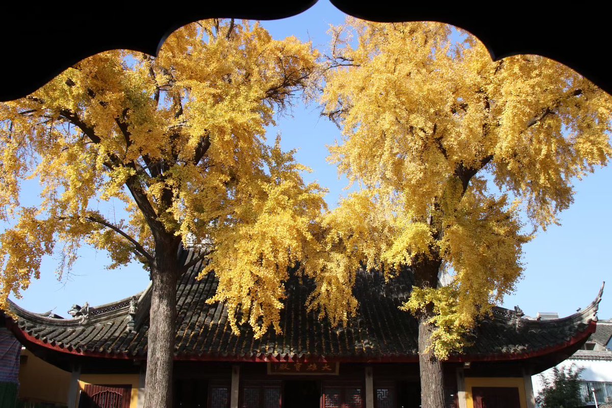 Larry@purewallet tweet media