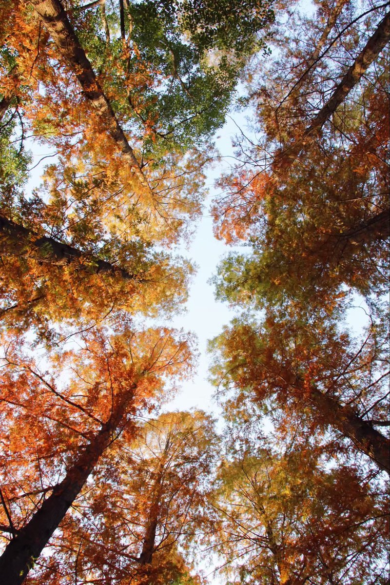 Larry@purewallet tweet media