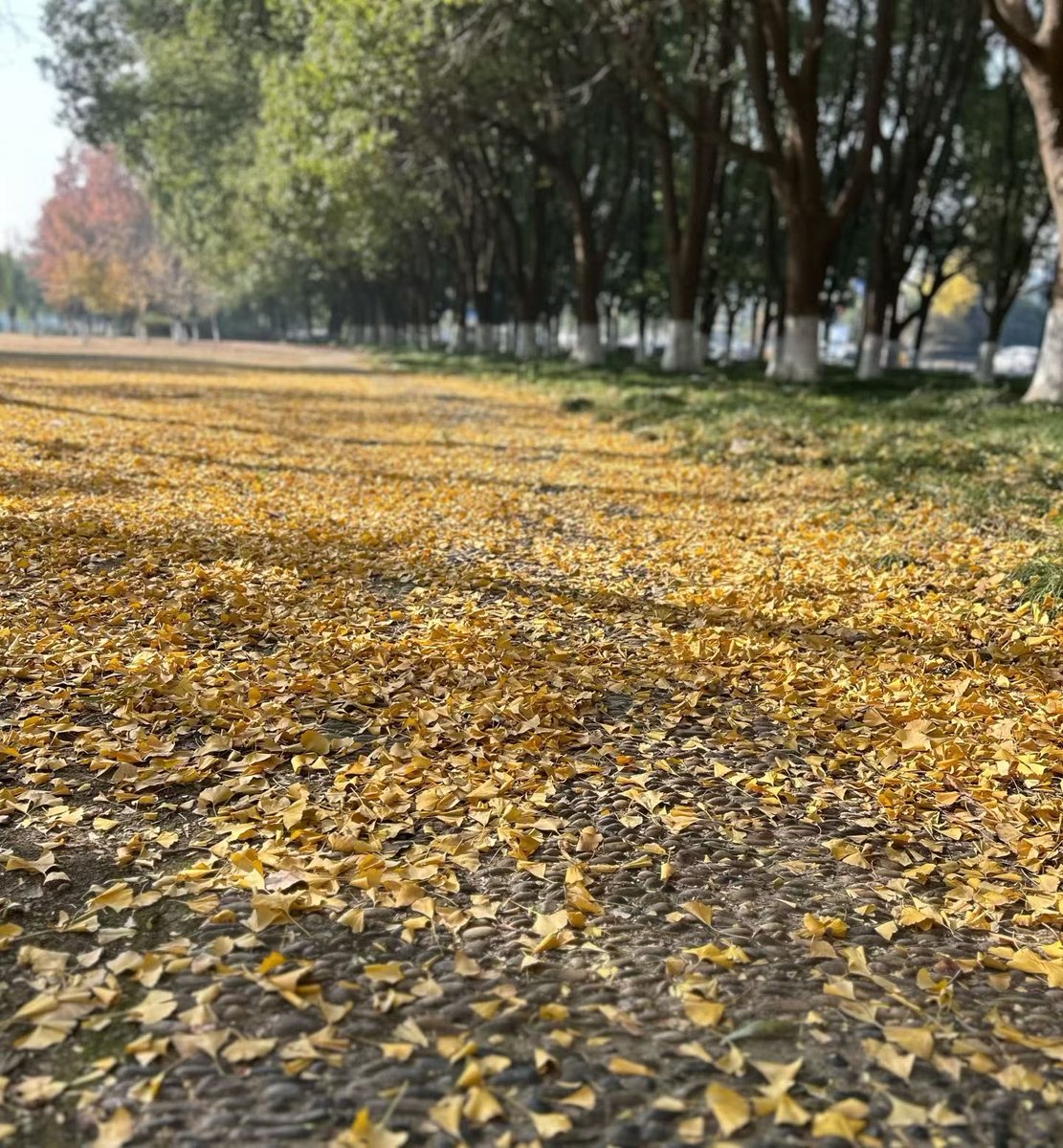 Larry@purewallet tweet media