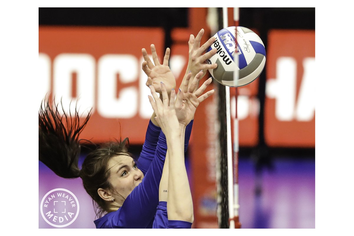 Ryan Weaver Media tweet media