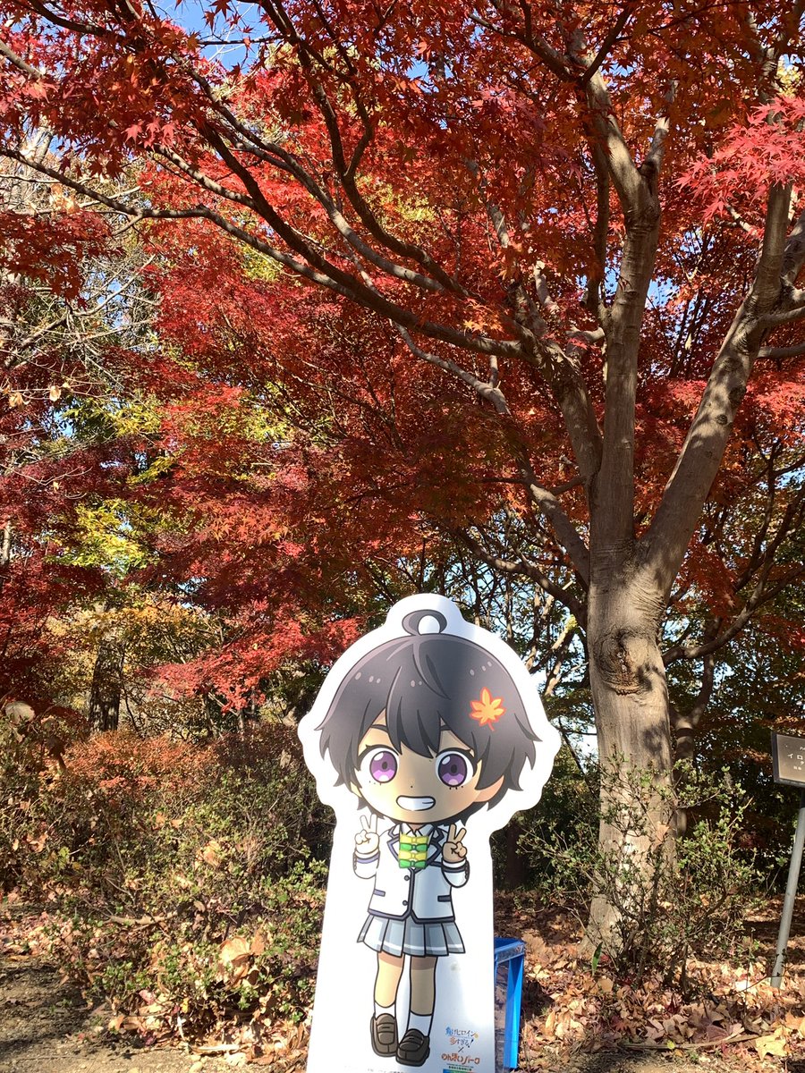 ちゅんちゅんまる ちゅんちゅん丸🩵💛🩵💛 (@tsutomu32026) / Posts / X