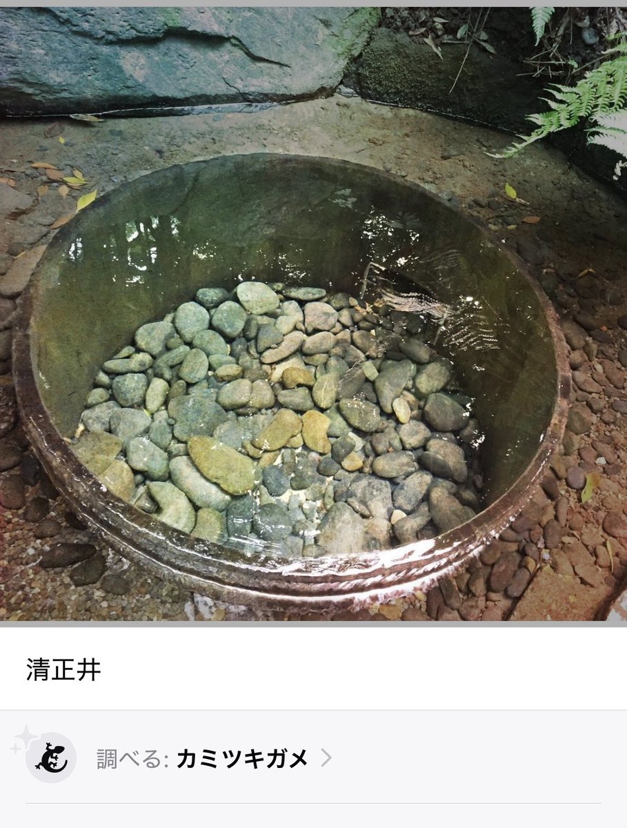 インスタで昔の画像に「いいね！」いただいたから今のスマホに保存。画像の「調べる」にマークがついていたのでタップしてみたら…
ん？どこにカミツキガメがいる…の？
カミツキガメって！？

※iPhone16です