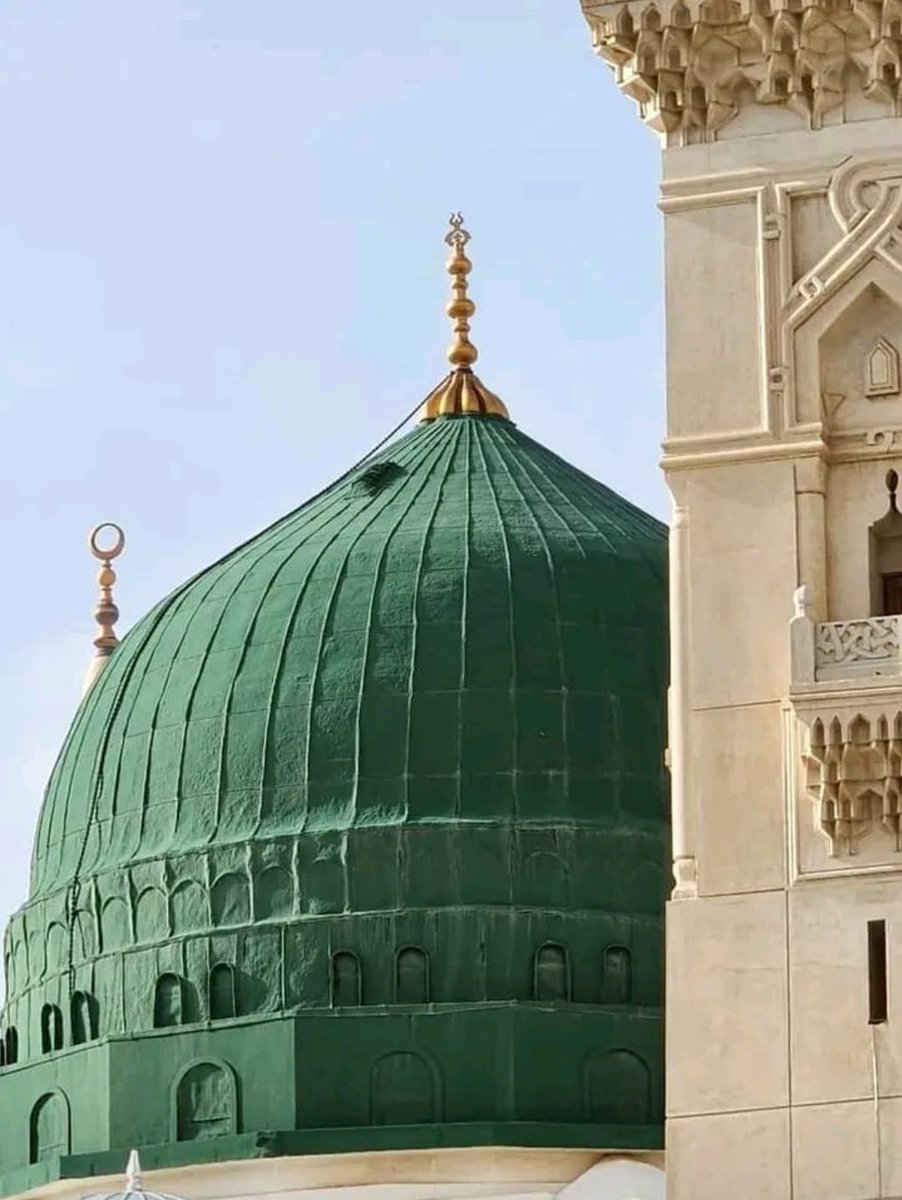 السلام علیکم 🌺
صبح بخیر🌹 
لاکھوں کروڑوں درود و سلام نبی اکرم صلی اللہ علیہ وآلہ وسلم پر اور ان کی آل پر صلوا_عليه_وسلموا_تسليما✨️🌸
اس امید کے ساتھ کہ آپ سب لوگ خیریت سے ہوں گے اللہ تعالی آپ کو ہمیشہ خوش رکھے آمین 🤲