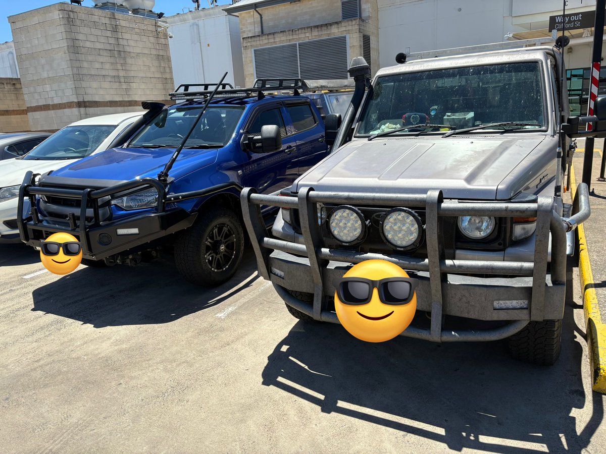 オーストラリアは道路にカンガルーとか動物が飛び出してくることが多い