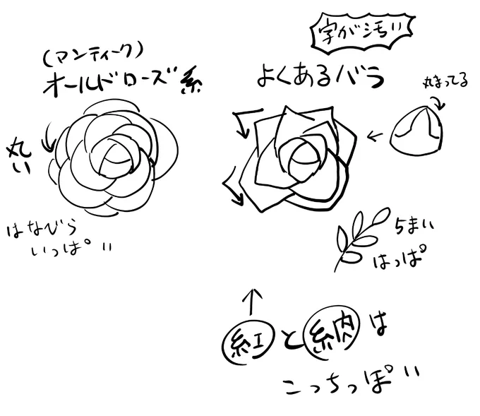 薔薇も沢山種類があるんでね
一概にはいえないんですけど

第五人格でよくみかける薔薇は右側のとんがった花びらのタイプが多い気がします

私はオールドローズ系っていうの?
花びら沢山のドレスみたいな薔薇が好きなのでよく描いてますけど
作画合わせるならとんがったやつ描いた方がよさそうです 