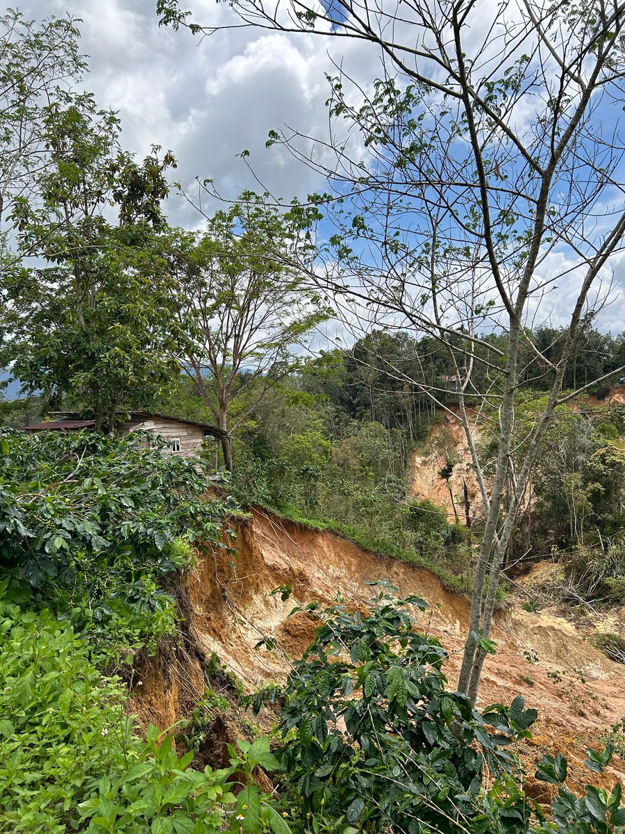 FitriAn22130716's tweet photo. The landslide in the coffee farms of Sipirok, South Tapanuli, North Sumatra proves that deforestation never comes without consequences. When forests disappear, the soil weakens and farmers become the first to suffer heavy losses. @dimitratech @surveyor_id #DimitraTeam $DMTR https://t.co/hfEpINsyDA