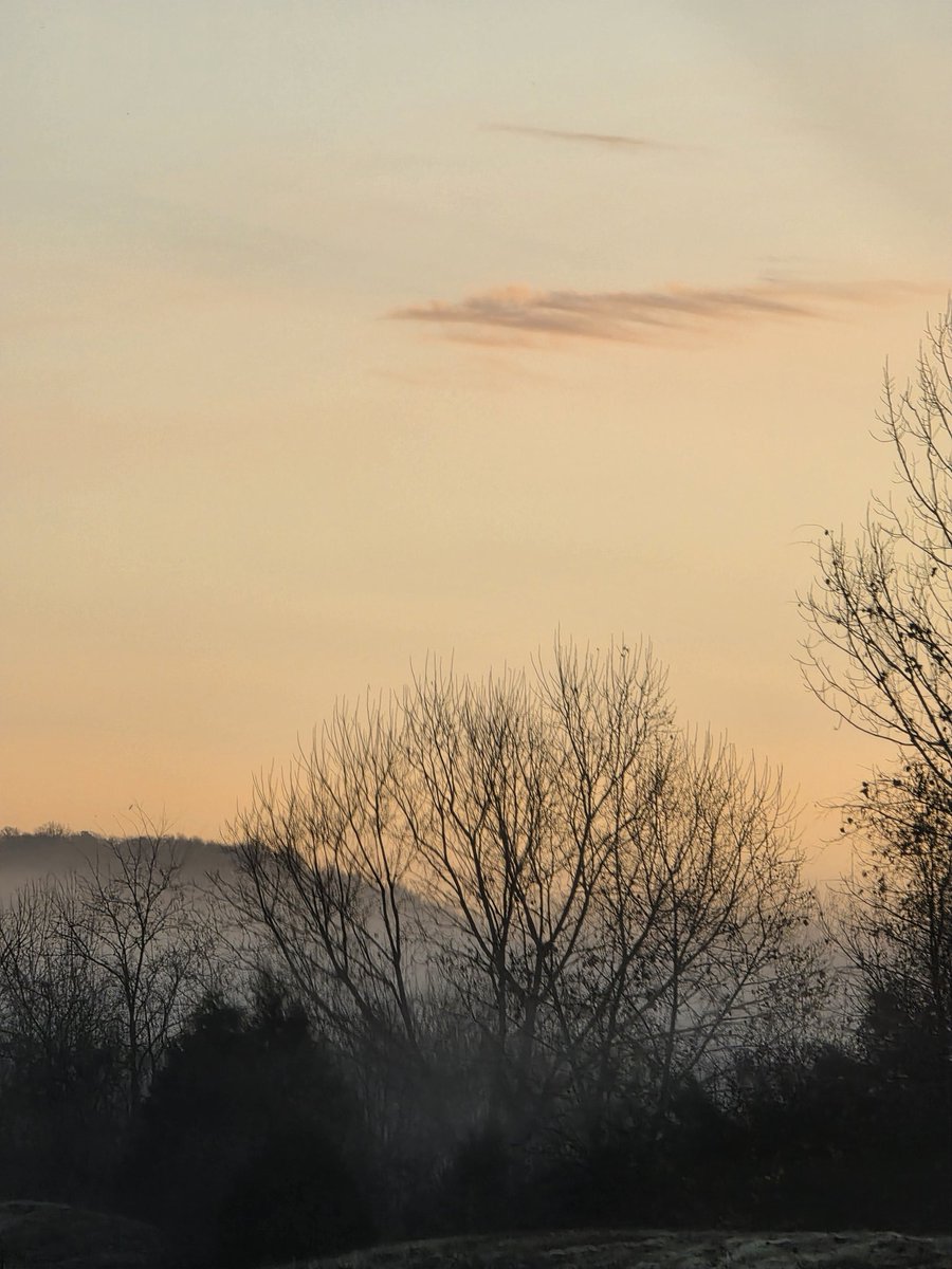 S.A. Franco (@sylviafranco) on Twitter photo 