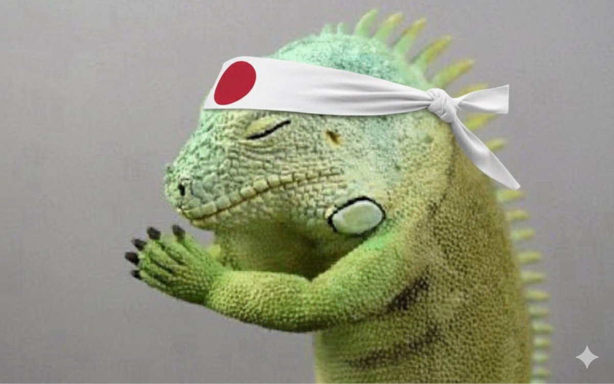 井上直樹の試合を見逃したゲイ🇮🇪 tweet media