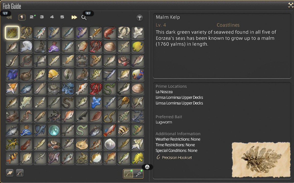 PreciseEdge's tweet image. been filling out this Fishing Guide while waiting for FRU pfs to fill