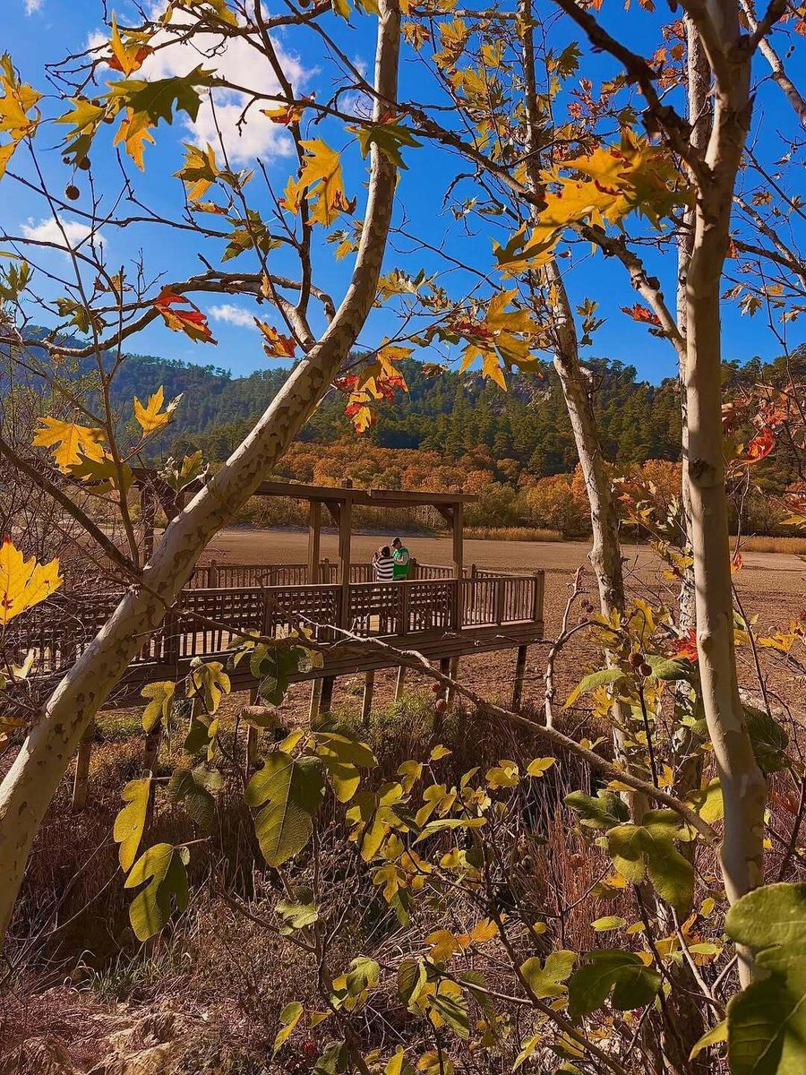 aphotohere's tweet image. Crisp air, colorful leaves, and cozy moments. Hello, autumn! 🍂❤️ #HelloFall  📷 @mahperiyildiz