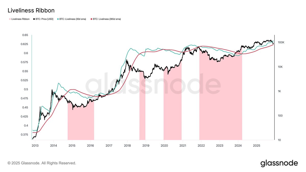 비트코인 온체인 활동 증가…“강세장 지속 가능성” 분석 https://t.co/Fgn8lF6NPc