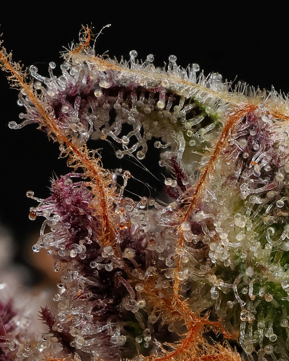 Everything reminds me of her 😭 💦