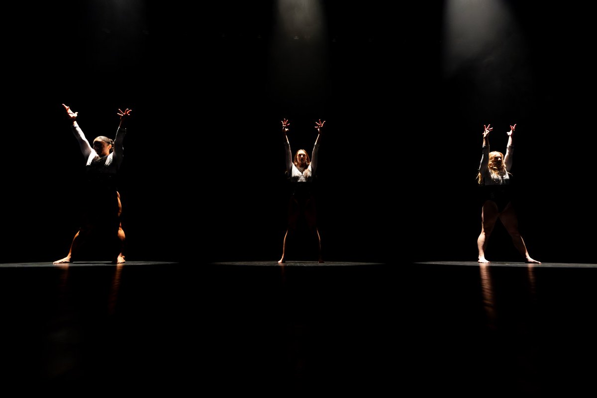 The stage is set 🎭 

#MIZ 🐯