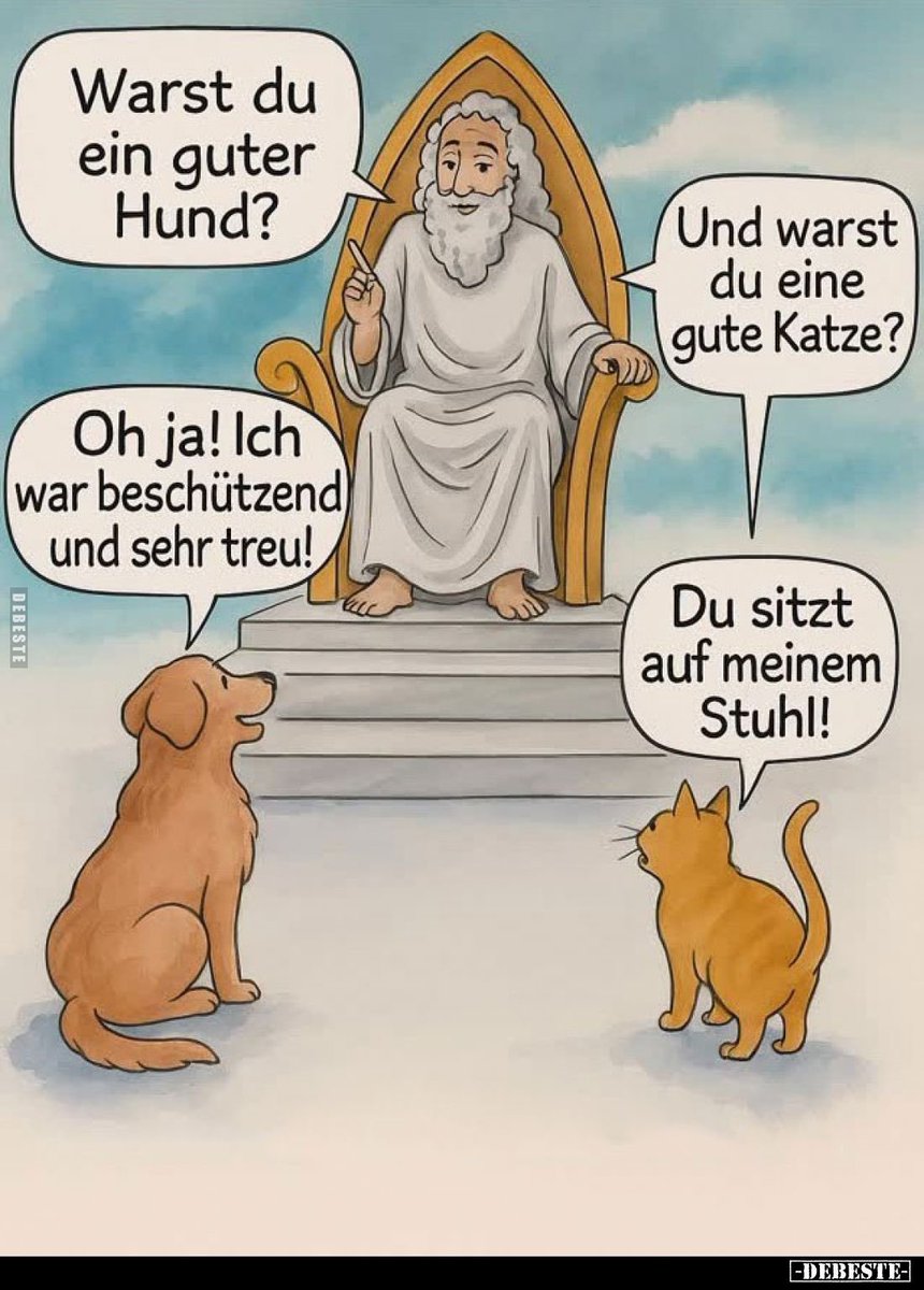 😂😂👍Katzen eben…