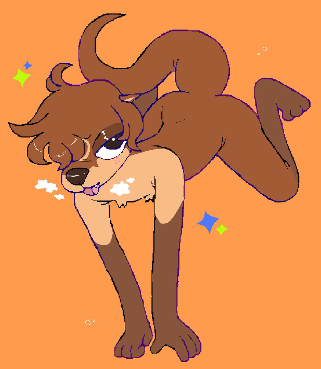 bird CLOSED tweet media