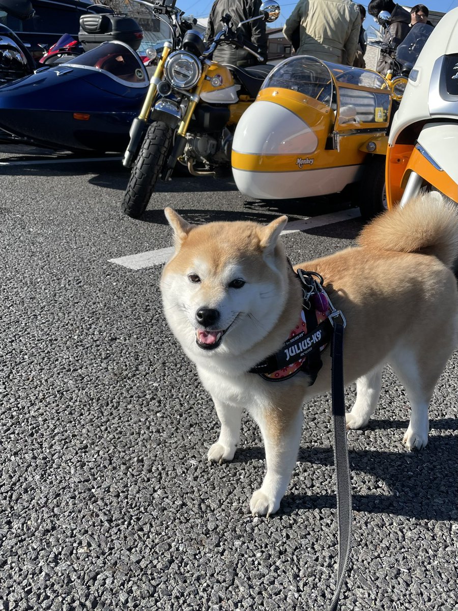 くまごろ (@kumagoro_J) / Posts / X