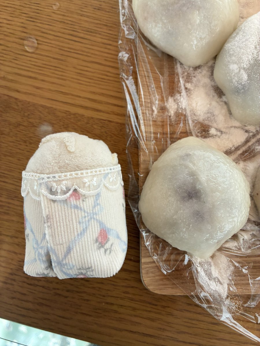 🦁あんこもち！ 🐍あにじゃがいっぱいなのだ…