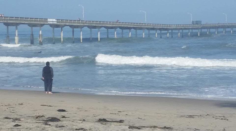 🀄DOJIMA🀄- The Red Dragon of River City tweet media