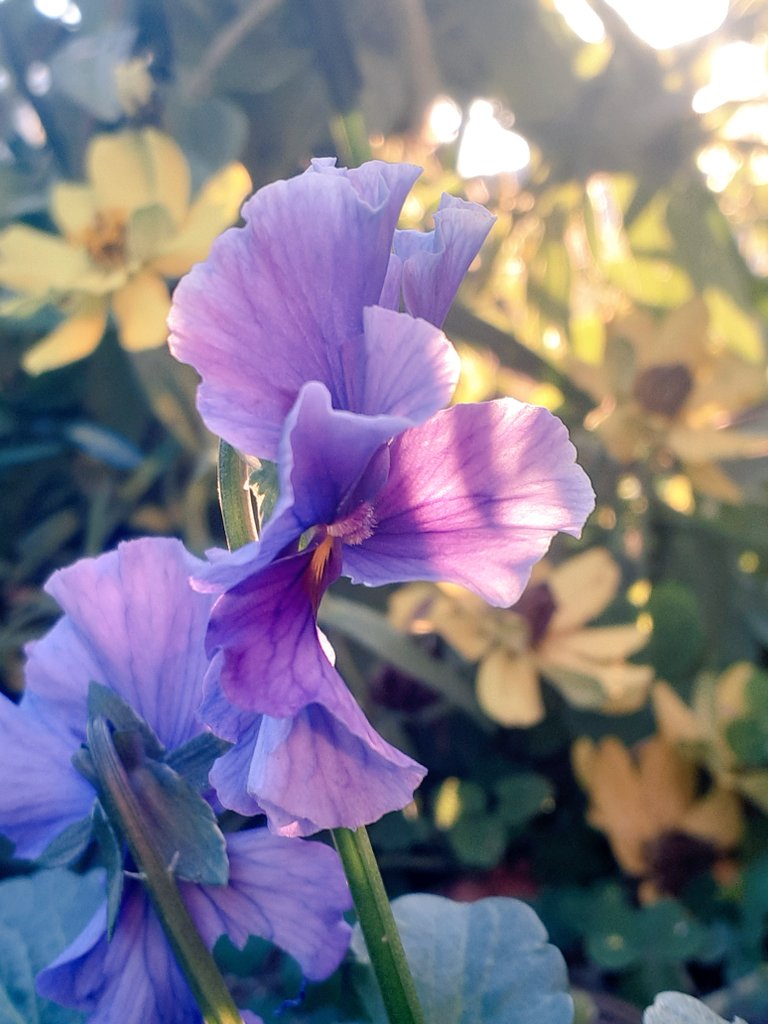 tantantoharu's tweet image. 可愛い…