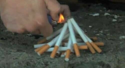 llpipi's tweet image. 