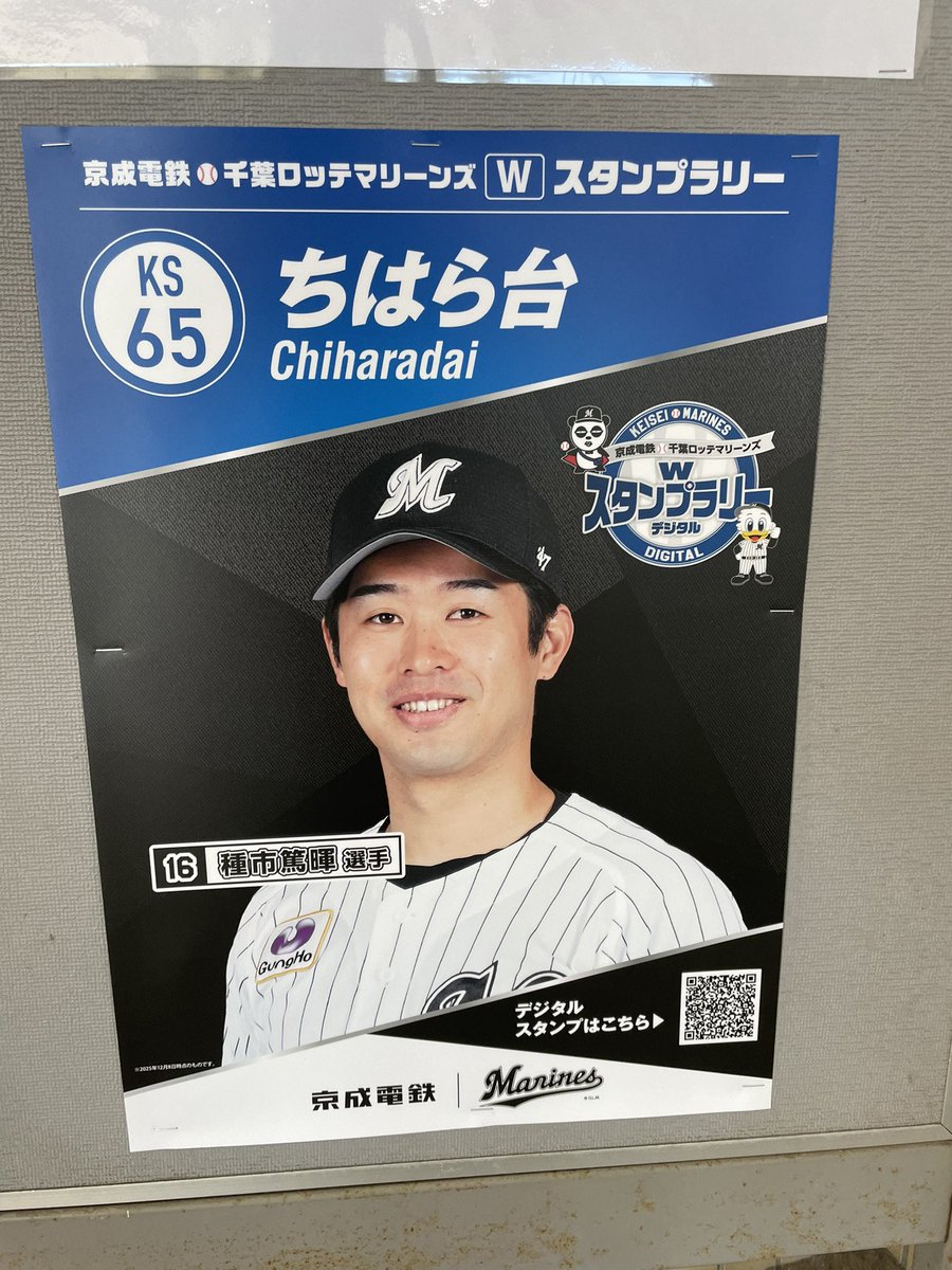たページ 『証明書付』 千葉ロッテマリンズ 種市投手 16 種市 篤暉