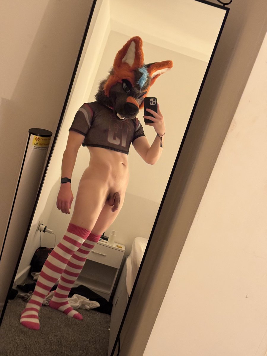 Xavi Murr 🥴 tweet media