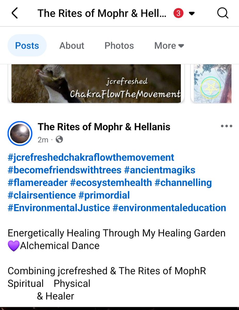 nitacherry36's tweet image. 💜        All
    My Passions
Includes 
:Healer through Touch with the
Awareness to Humanities Darkness, Access to 

Inside 
#DELPHI
#spiritualgrowth
#barbariansDone #Uprising